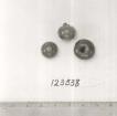 Click for 1 image(s) for this accession. FRUIT